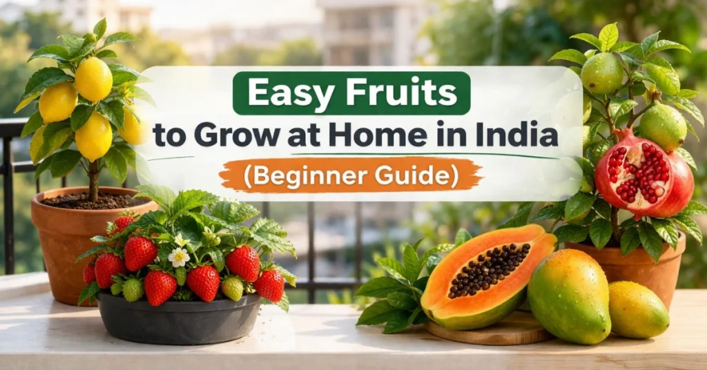 easy fruits to grow at home in india
