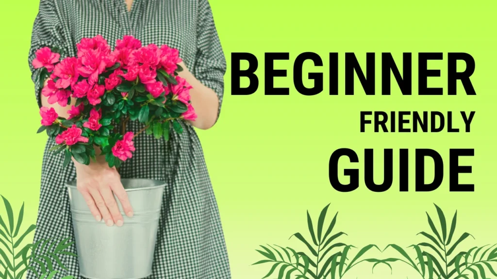 easy flowering plants for beginners