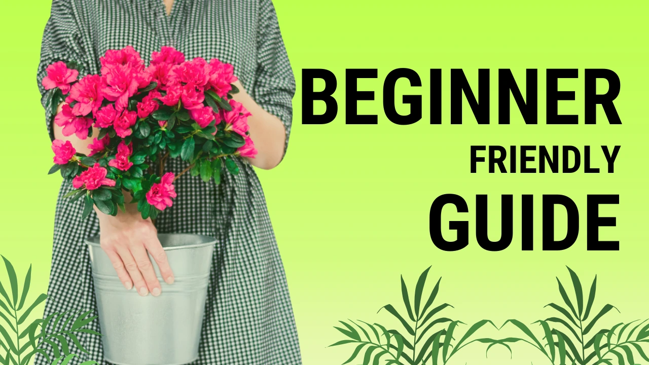 flowering plants for home garden