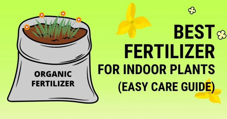 best fertilizer for indoor plants in India