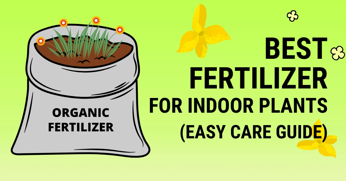 best fertilizer for indoor plants in India
