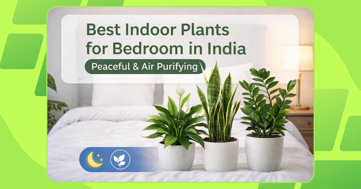 Best indoor plants for bedroom to improve sleep and air quality
