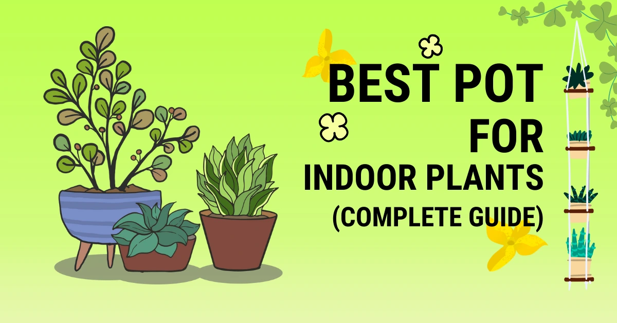 best pots for indoor plants in india