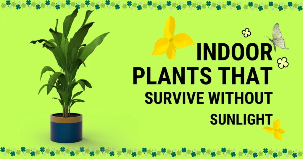 indoor plants that survive without sunlight