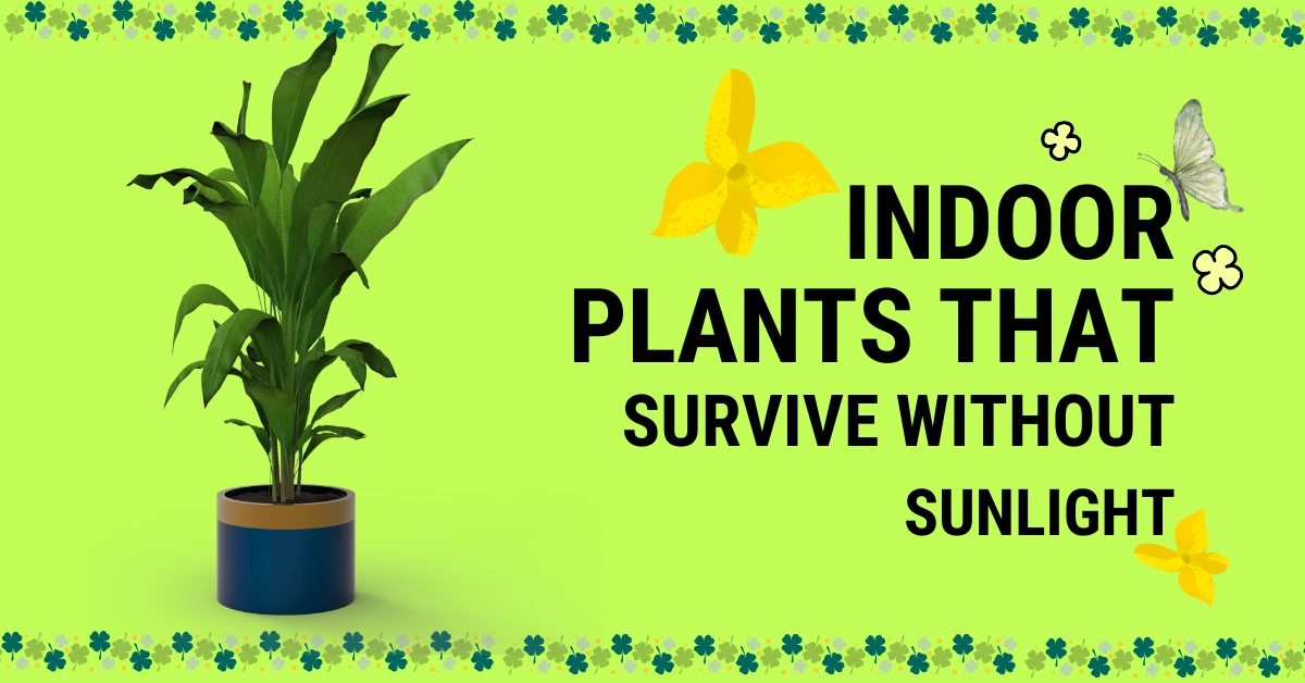 indoor plants that survive without sunlight